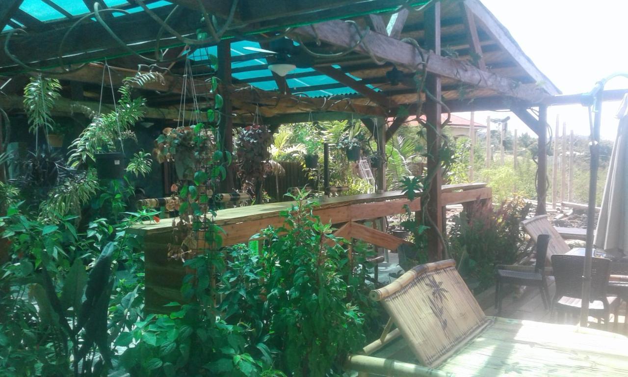 Jungle Of Peace Resort سيكويجور المظهر الخارجي الصورة