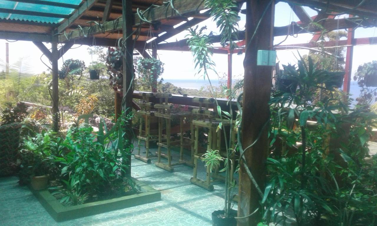Jungle Of Peace Resort سيكويجور المظهر الخارجي الصورة