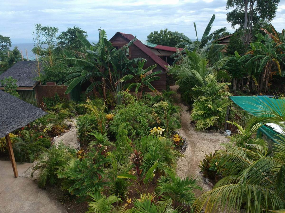 Jungle Of Peace Resort سيكويجور المظهر الخارجي الصورة