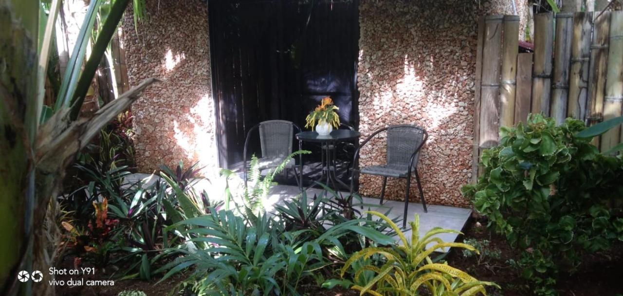Jungle Of Peace Resort سيكويجور المظهر الخارجي الصورة