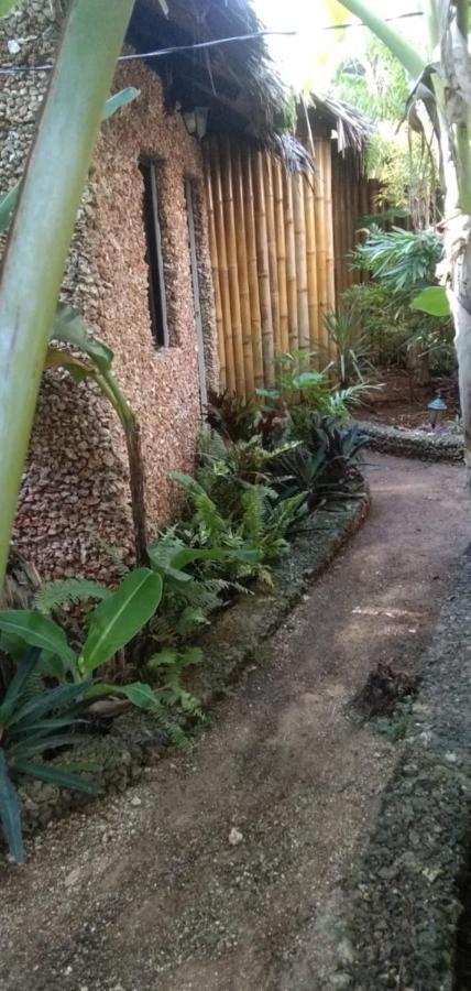 Jungle Of Peace Resort سيكويجور المظهر الخارجي الصورة