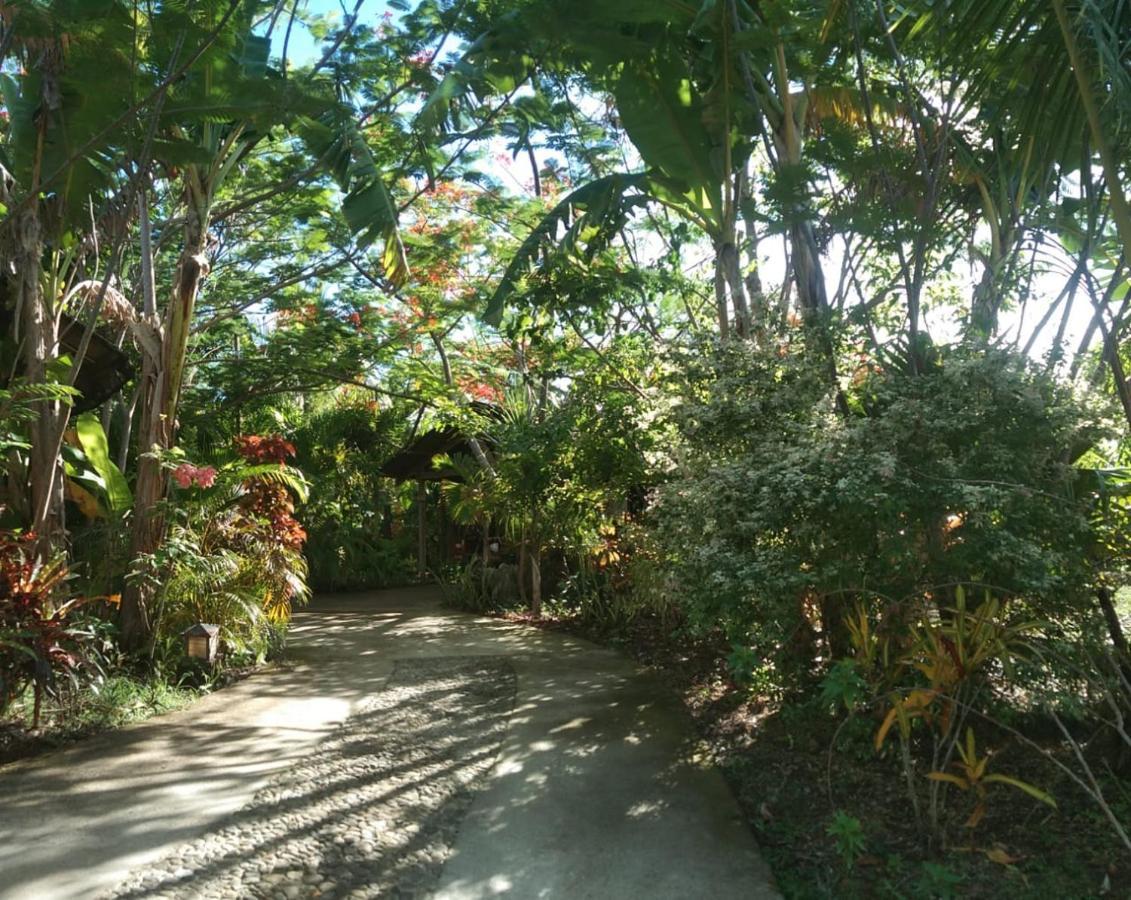 Jungle Of Peace Resort سيكويجور المظهر الخارجي الصورة