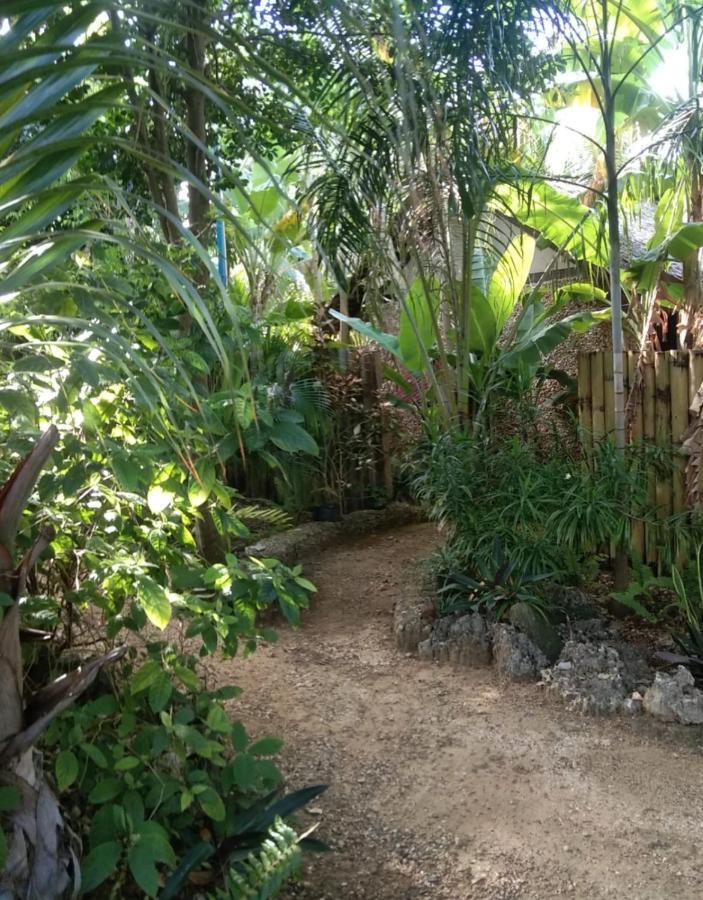 Jungle Of Peace Resort سيكويجور المظهر الخارجي الصورة