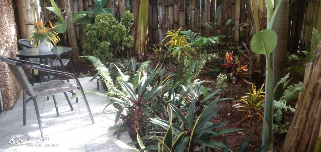 Jungle Of Peace Resort سيكويجور المظهر الخارجي الصورة